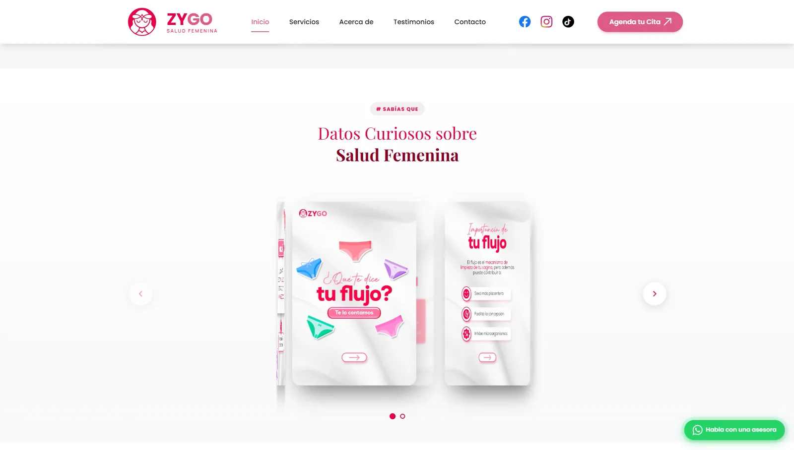 Zygo Web pantalla 2